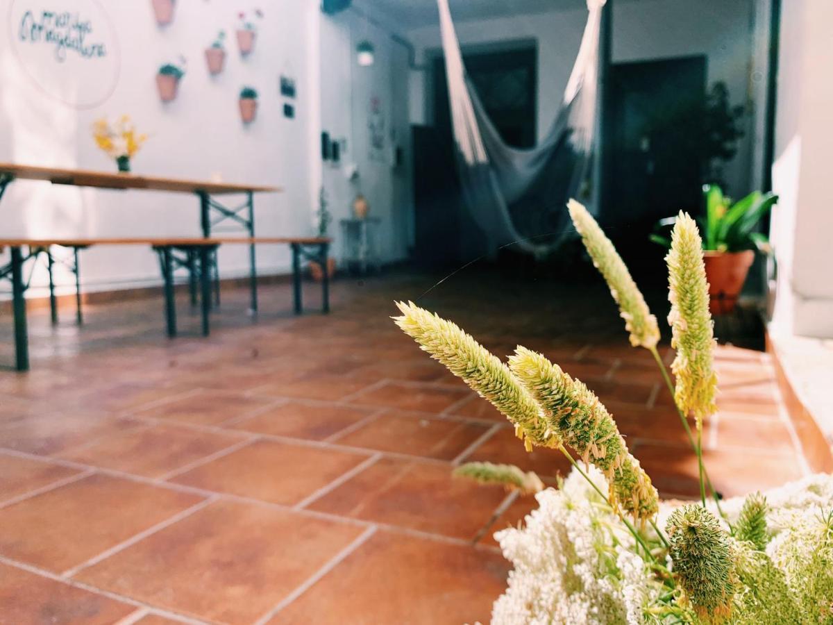 Maria Magdalena - Room 1 Малага Экстерьер фото